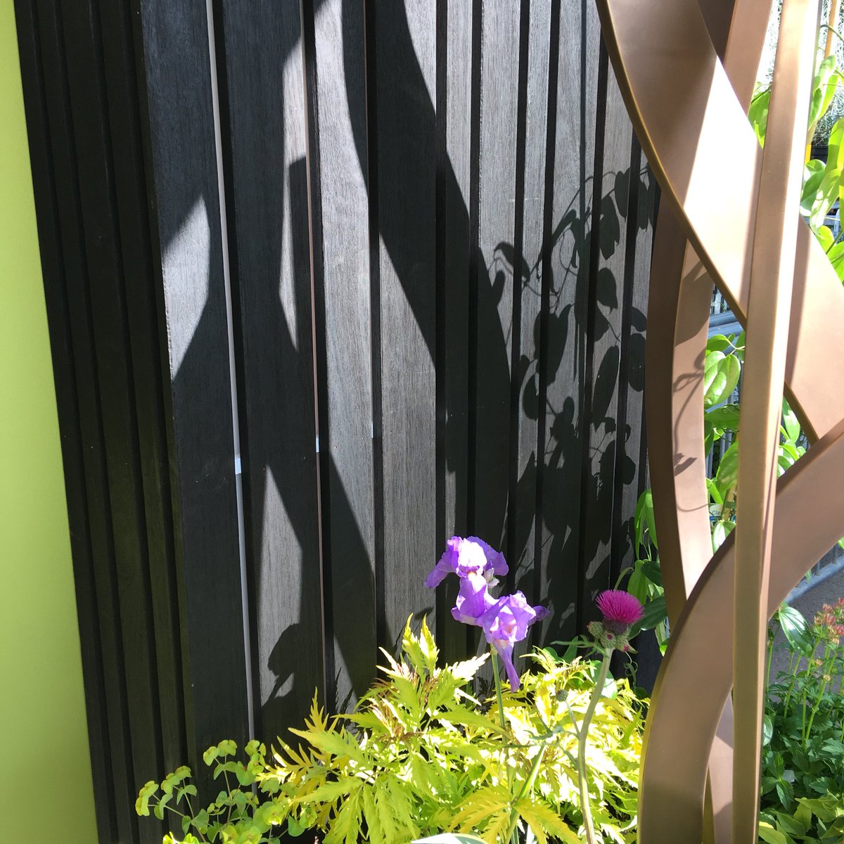 Yukari cladding used by Sarah Naybour in her garden design