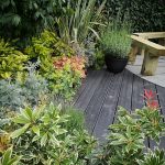 Garden deck surrounded by plants